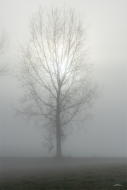 nebel20_b9776