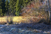 Frost18_1713