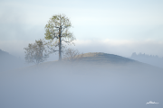 Nebel19_A7466