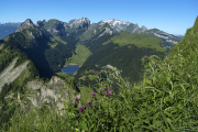 Alpstein17_8961