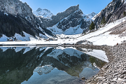 Seealpsee19_6988