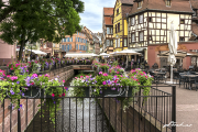 Colmar17_8680