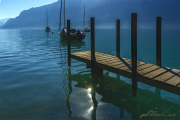 Brienzersee16_5261