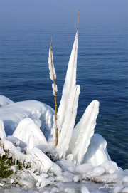 Eisskulptur18_2187