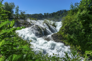 Rheinfall16_4183