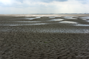 Wattenmeer16_4811