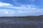 Wattenmeer16_4821