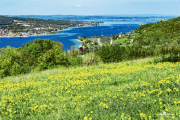 Bodensee19_7158