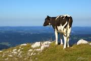 Chasseral16_5258