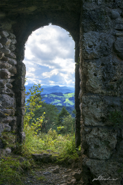 RuineNeutoggenburg17_0132