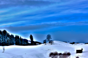 Schnee16_3172