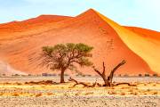 sossusvlei19_a3529