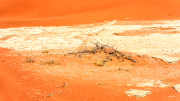 sossusvlei19_a3557