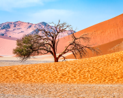 sossusvlei19_b3535