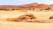 sossusvlei19__a3537