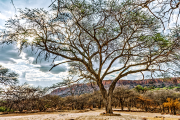 waterberg19_a5820