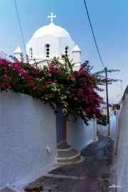 Santorini18_5392