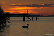 Bodensee17_9058