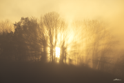 Nebel20_A9738