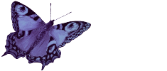 Logo PDFrehner Schmetterling